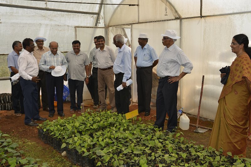 03Apr2014_00040 (66).JPG